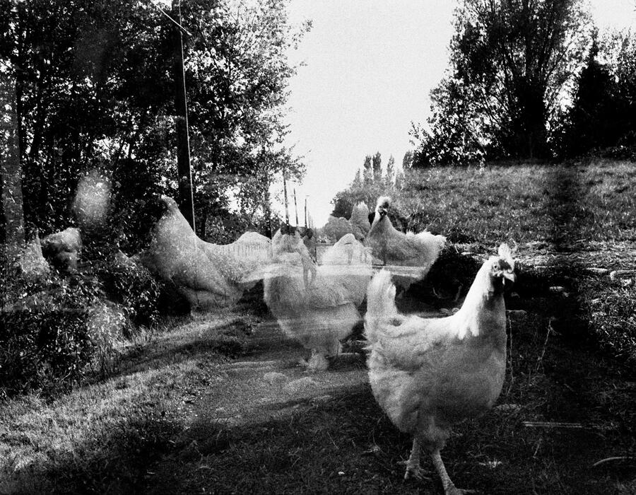 0322.jpg