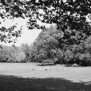 062941680001_0a.jpg