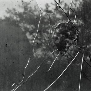 1246.jpg