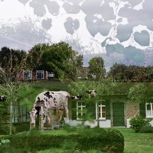 131153700003_3.jpeg