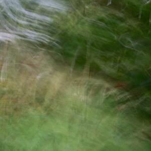 17a_0018.jpg