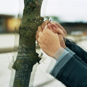17a_0423.jpg