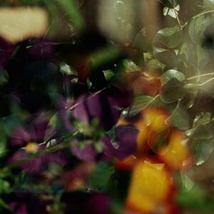 20a_0123.jpg
