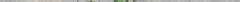 2613535538_f56a7874ac.jpg