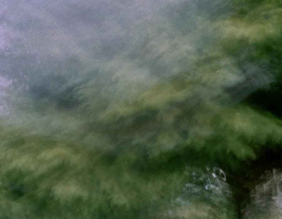 34a_0230.jpg
