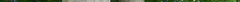 3_haagbeuk_es2.png