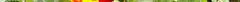 450px-tagetes_patula_nana_hybr_carmen_botgardbln0906b.jpg