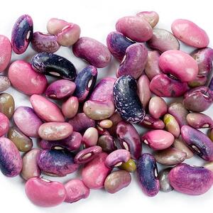 800px-beanseedsscarletrunner.jpg