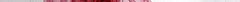 90_daphnia_40x.jpg