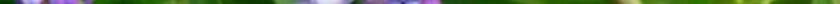 arx1218069366e.jpg