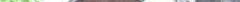 bild0192-225x300.jpg