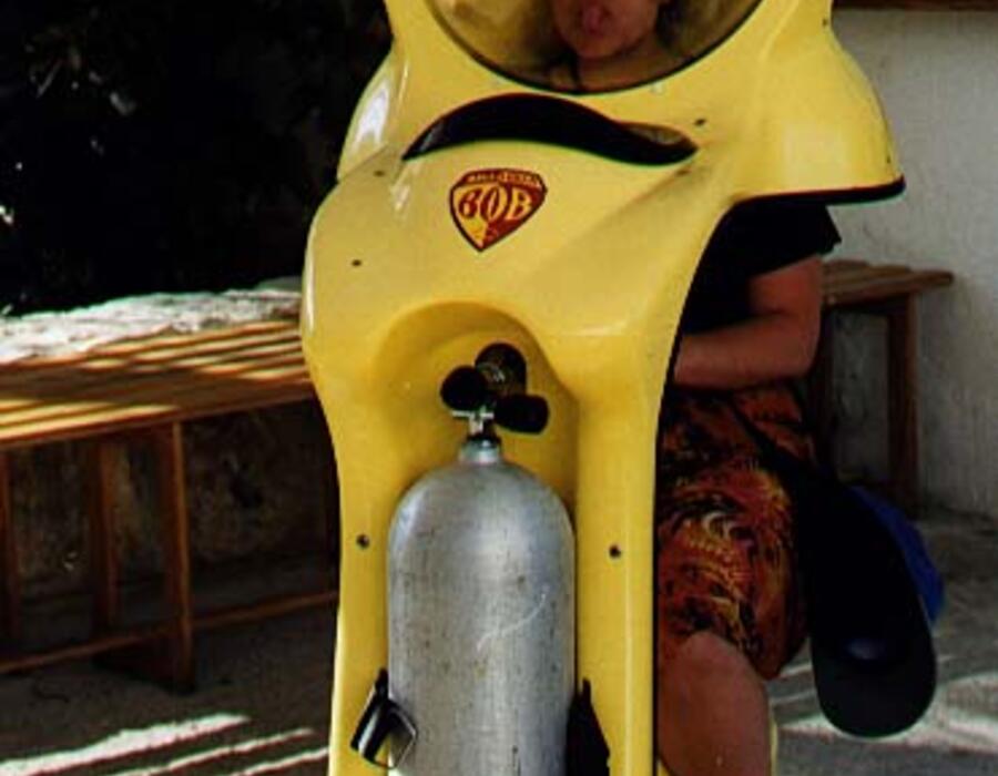 bob-dive.jpeg