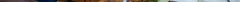 c_o_resizeddsc02360.jpg