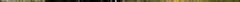 c_o_resizeddsc02418.jpg