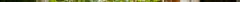 diy-greenhouse-main.jpg