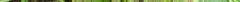 dsc01567.jpg
