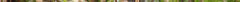 dsc05820.jpg