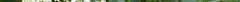 elder6919lg.jpg