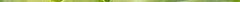 elodea.jpg