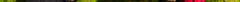 forest.jpg