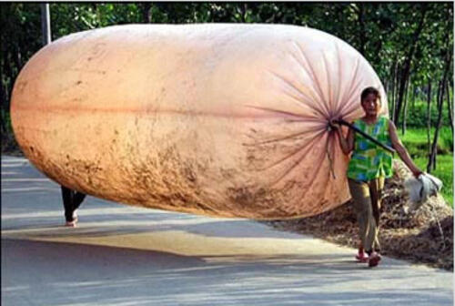 gas_china.jpg gas_china.jpg