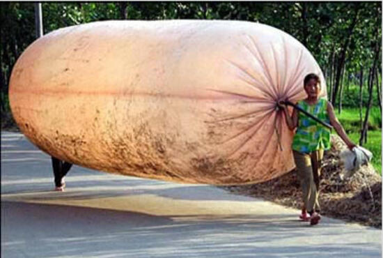 gas_china.jpg gas_china.jpg