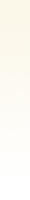 gradient_yellow.jpg