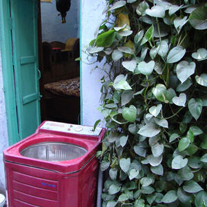 green_01.jpg