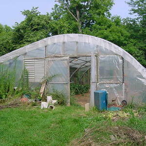 greenhouse-1.jpg