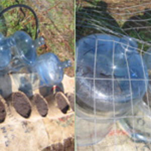 greenhouse.jpg