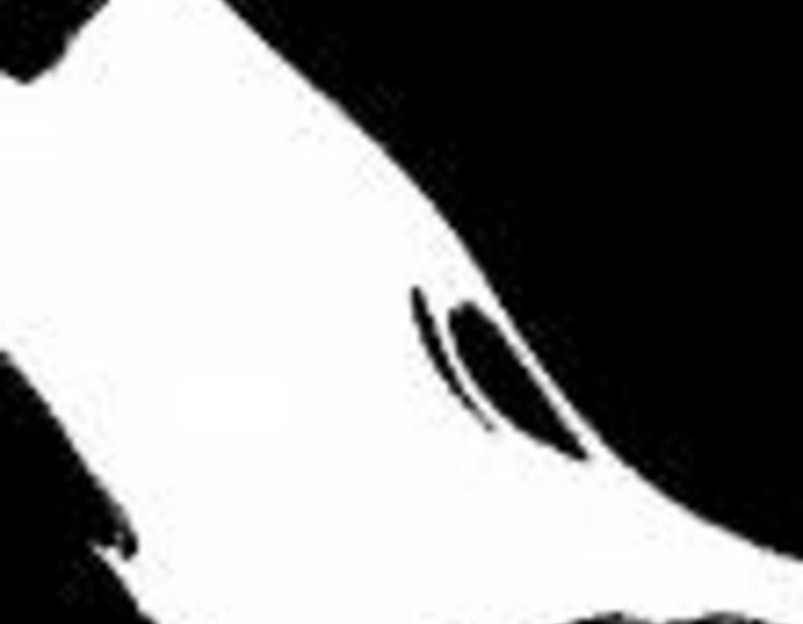 highf-xz256.png