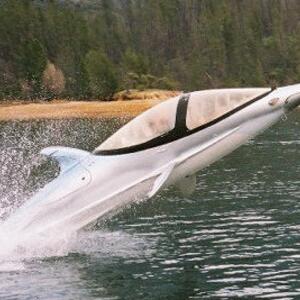 innaspace-dolphin-sub.jpg