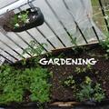 gardening.jpg