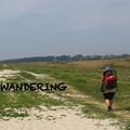 wandering.jpg
