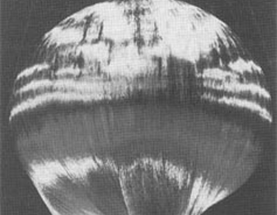 p182c.jpg