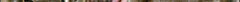 platypus_zoom.jpg