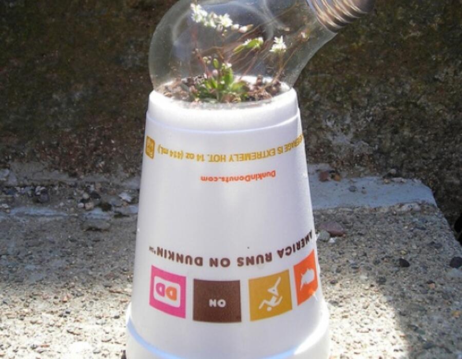 recycled-greenhouse.jpg