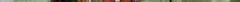 rhubarb.jpg