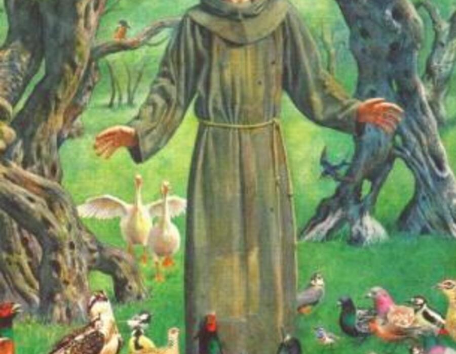 saintfrancois.jpg