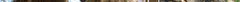 seed_4.jpg