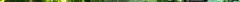 summer-lushness.jpg
