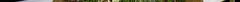 telegarden.jpg
