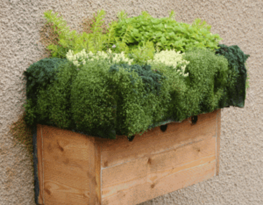 tony2.gif