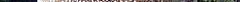 windowslivewriterpufferfish-229arothron-meleagris-by-nps-12.jpg