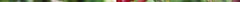 wp_chenopodiumfoliosum01.jpg