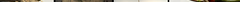 writing-retreat-w4.png