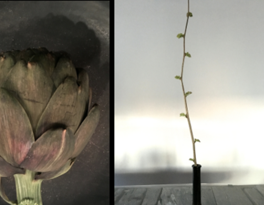 writing-retreat-w4.png