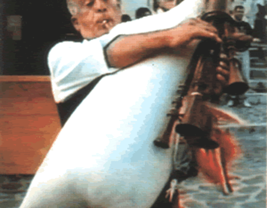 zampogna.gif